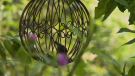 Friederike Lorenz Film