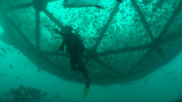 Friederike Lorenz Film