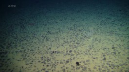 Friederike Lorenz Film