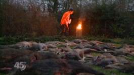 Friederike Lorenz Film