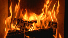 Friederike Lorenz Film