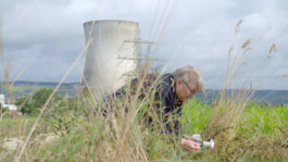 Friederike Lorenz Film